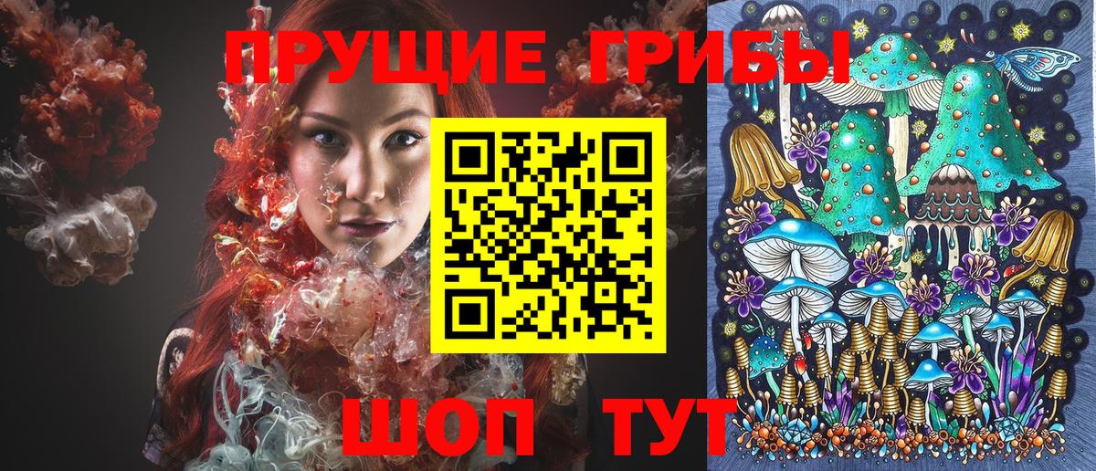 Псилоцибиновые грибы Cubensis  Вход с VPN  Верхняя Пышма 